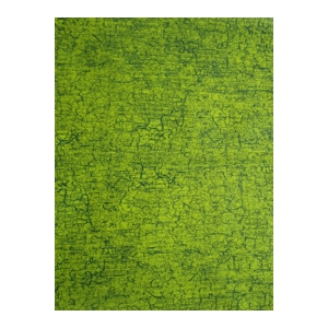 Décopatch paper 301 green decopatch