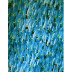 Décopatch 453