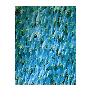 Décopatch papier 453 blau