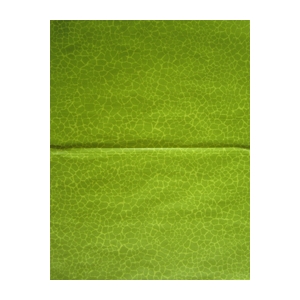 Décopatch papel 531 decopatch verde