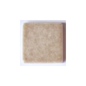 Tesselle Emaux de Briare Beige noisetier