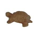 Tortue decopatch