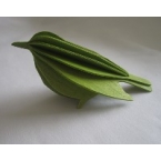 Oiseau en bois carte 3D Vert