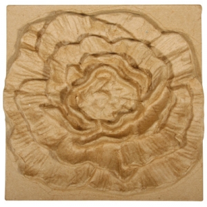 fleur à peindre Rose sauvage