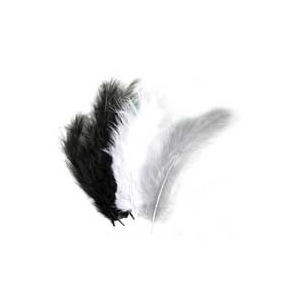 lot de 15 plumes grey white black