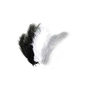 lot de 15 plumes Gris blanco negro