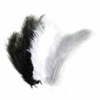 lot de 15 plumes Schwarzes weißes Grau