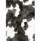 Décopatch Papers 464 Black White