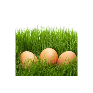 Décoration de Pâques eggs brown