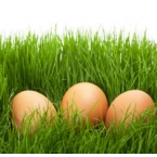 Décoration de Pâques uova naturale