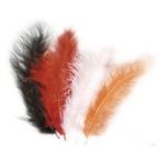 lot de 15 plumes abricot marron