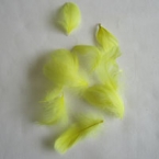 lot de plumes jaune