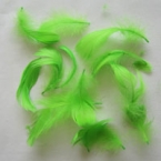 lot de plumes vert clair