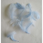 lot de plumes bleu clair