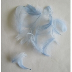 lot de plumes bleu clair