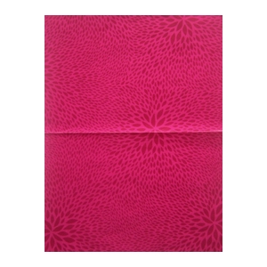 Décopatch 653 fuschia clair et foncé