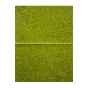 Décopatch Carta 655 Verde