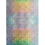 Décopatch Paper 798 rainbow gold