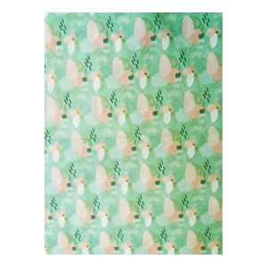 Décopatch Papier 800 rose et vert pastel