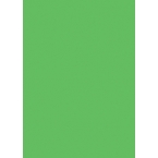 Décopatch Papers 254 Green