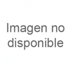 fleur à peindre Rose sauvage